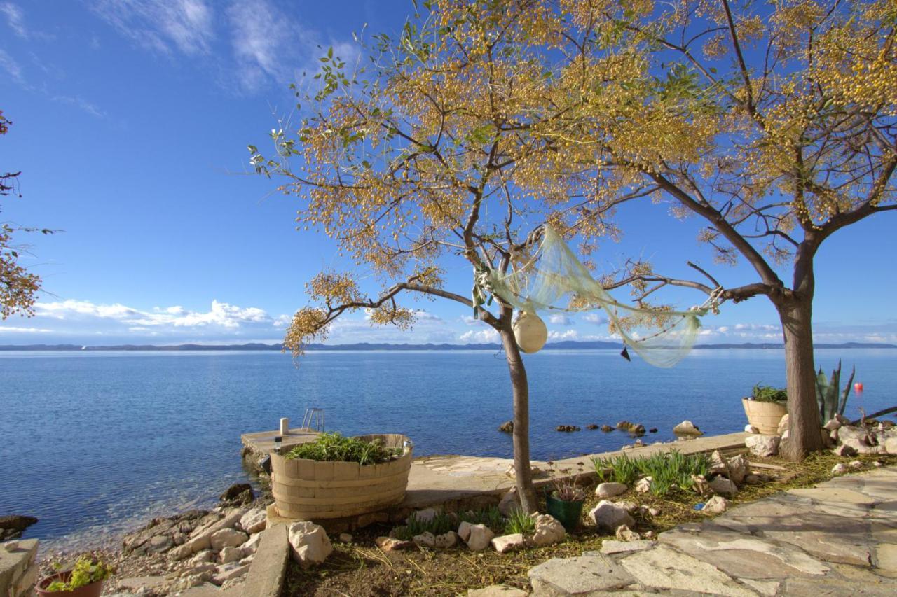 Old Fisherman'S House - Apartment Sonja Banj المظهر الخارجي الصورة